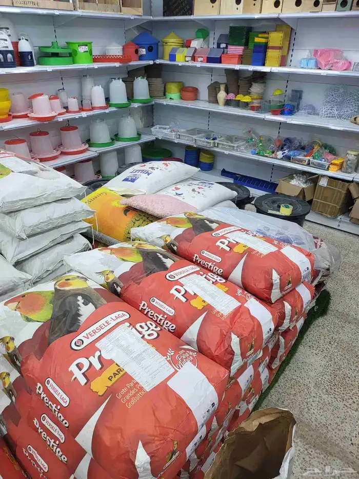 بياضات ومستلزمات ببغاء وطيور مغردة 5