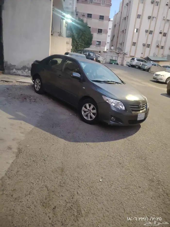 كوريلا 2010 3