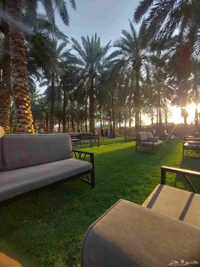 ابحث عن شقه 3 غرف 0