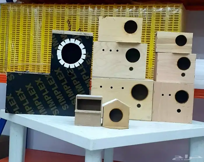 بياضات ببغاء كوكاتو والطيور المغردة 9