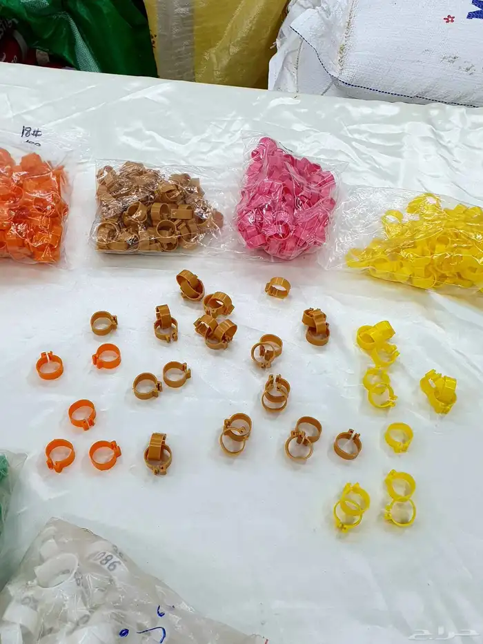 بياضات ومستلزمات ببغاء وطيور مغردة 7