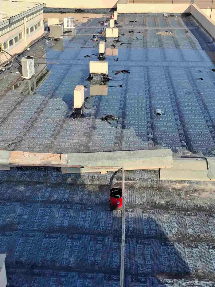 الفيصل العوازي 4