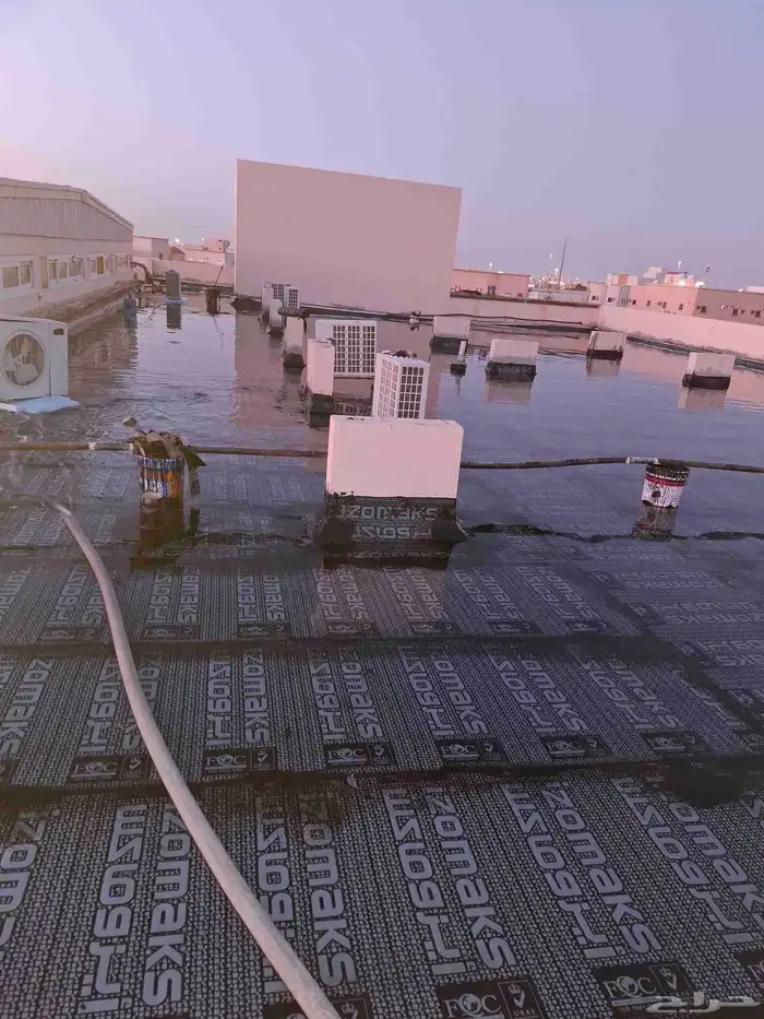 الفيصل العوازي 6