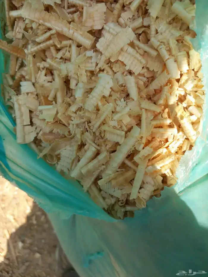 الرياض 1