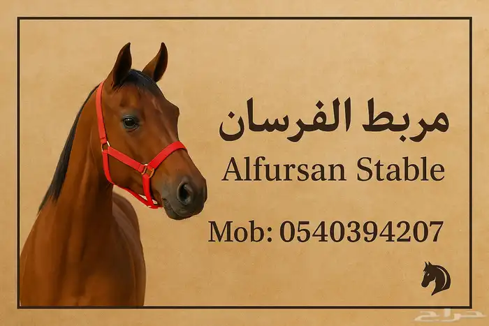 ركوب وإيواء خيول 1
