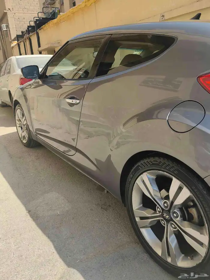 فيلوستر 2015 4