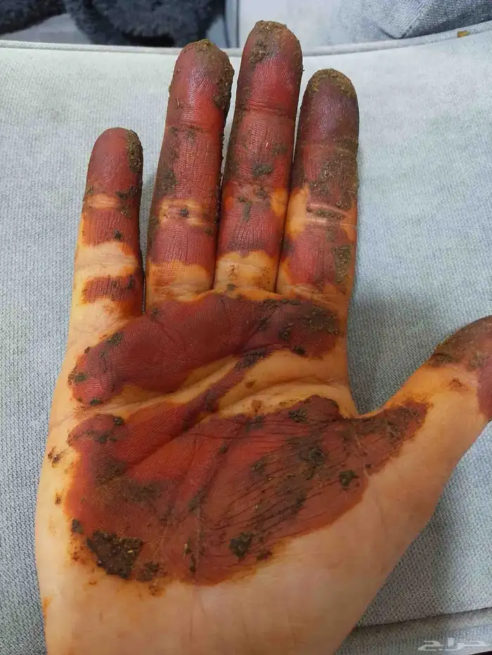 أقماع حناء طبيعي حلو 2