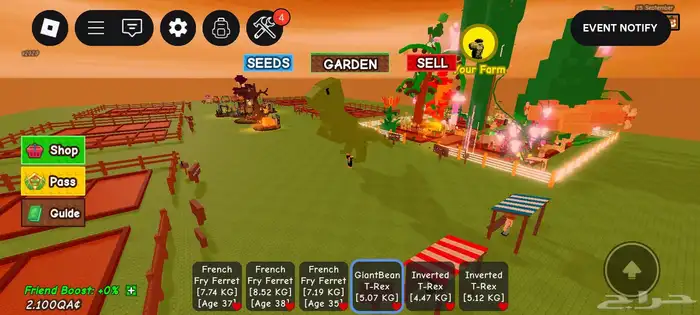 حساب روب ملعوب بلوكس فروت و ماب المزرعه و مابات كثير 15