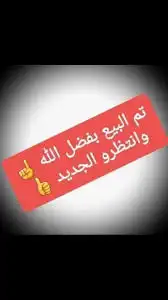 رخل نجديه طيبه العمر 5 شهور توم3 مقنوي اطيب من التصوير 2