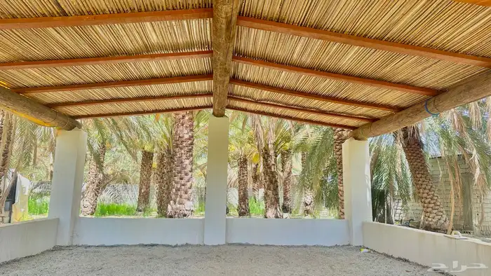 جرد سعف خراز 1