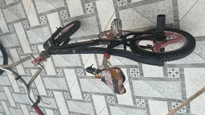 سيكل كوبرا 2