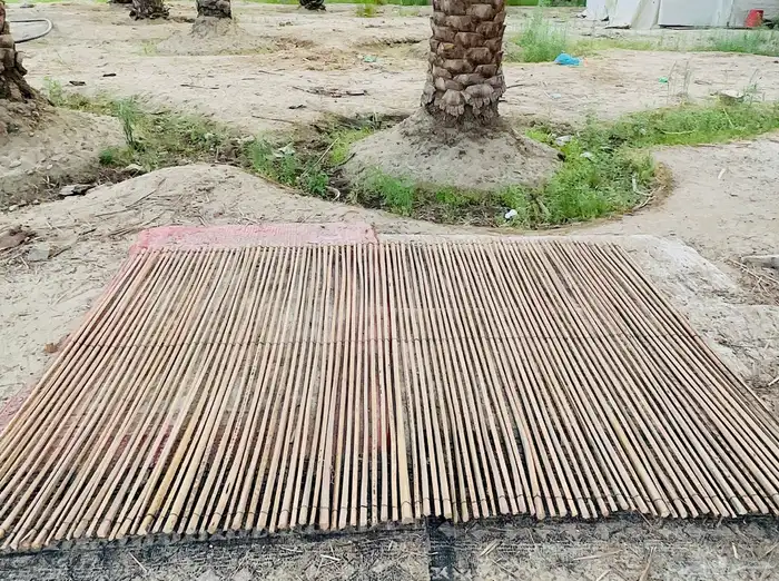جرد سعف خراز 3