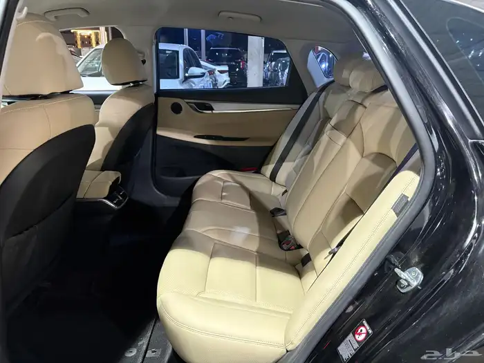 هيونداي ازيرا 2021 11