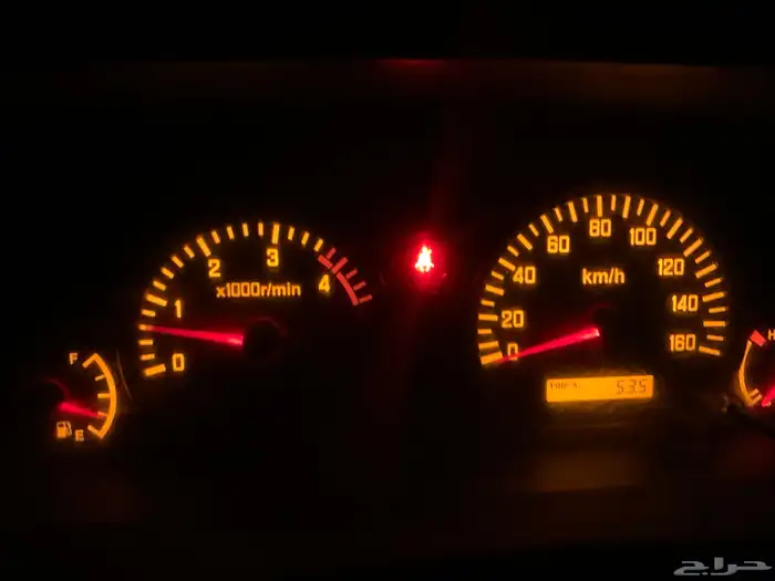 دينا ايسوزو 2011 11