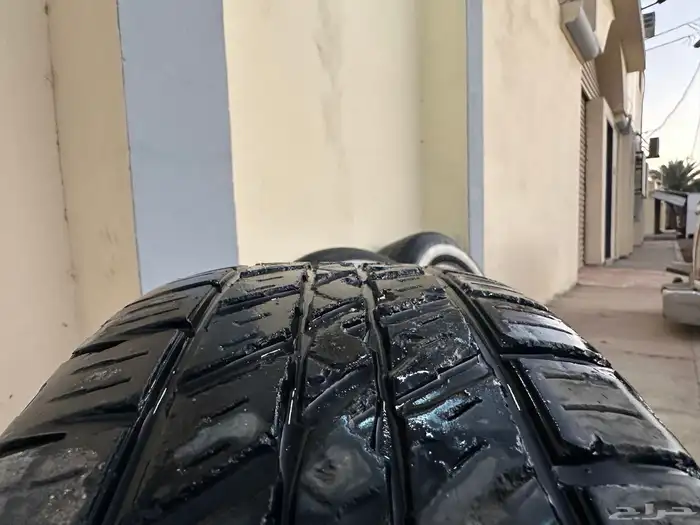 جنوط دمعه 3