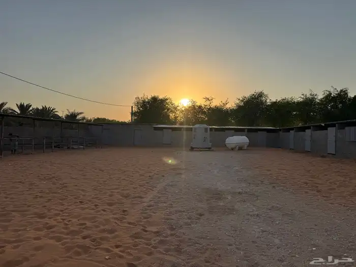 مربط الرهوان المزاحمية(الخرارة) 2