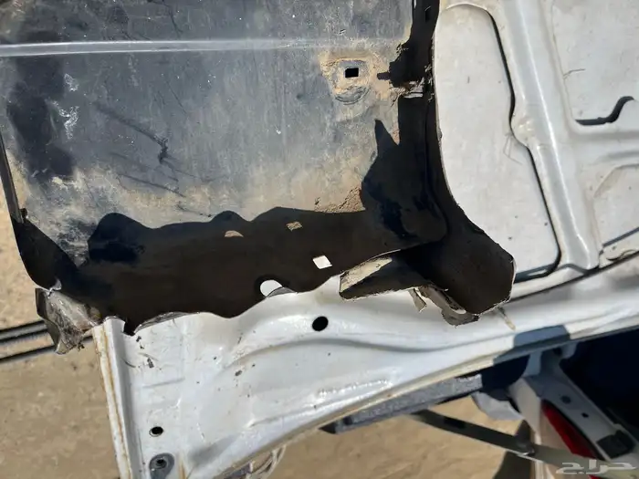 كبوت ورفارف كرسيدا 91 4