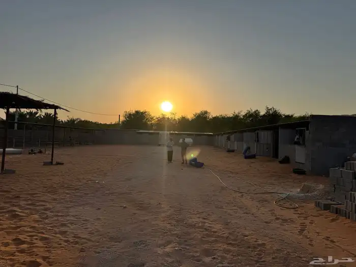 مربط الرهوان المزاحمية(الخرارة) 1