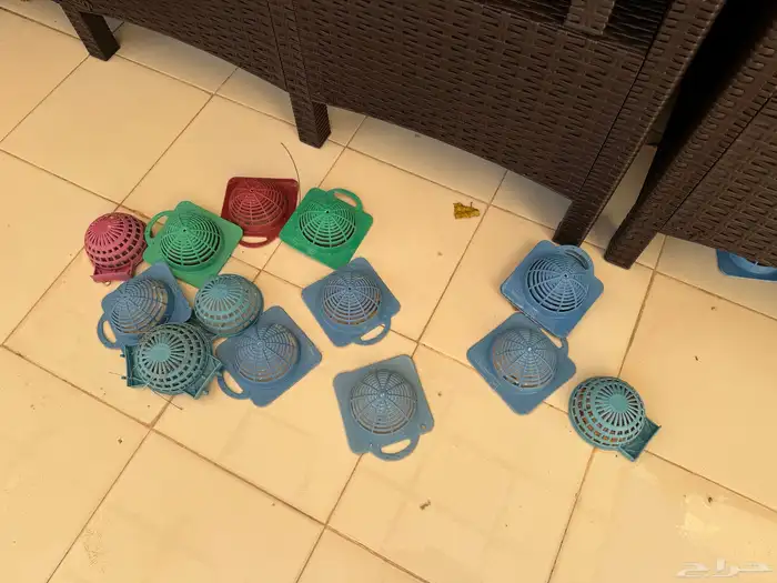 أعشاش يمام ودوق 1