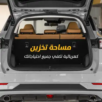 شنجان يونى اس 2026 index