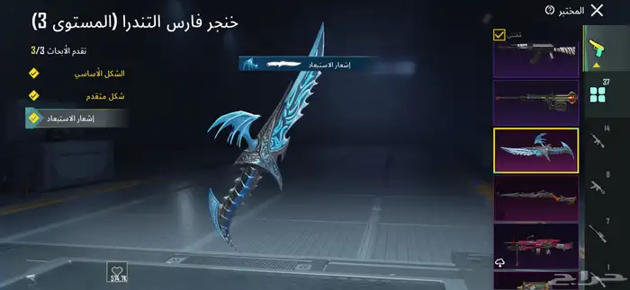 حساب بيجي على السوم 29