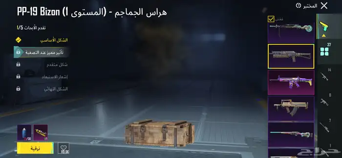 حساب بيجي على السوم 21