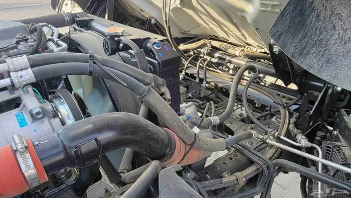 دينا ايسوزو 6 متر 2024 19