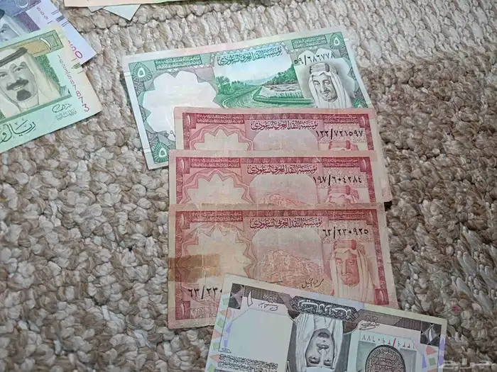 سيهات حي الكوثر طريق الخليج 5