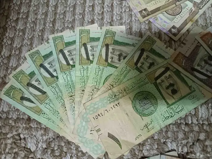 سيهات حي الكوثر طريق الخليج 11