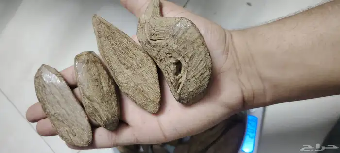 عود مروكي فاخر طبيعي محسن درجه اولى بسعر فاخر 4