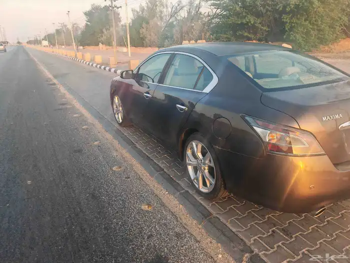 مكسيما موديل 2014 5