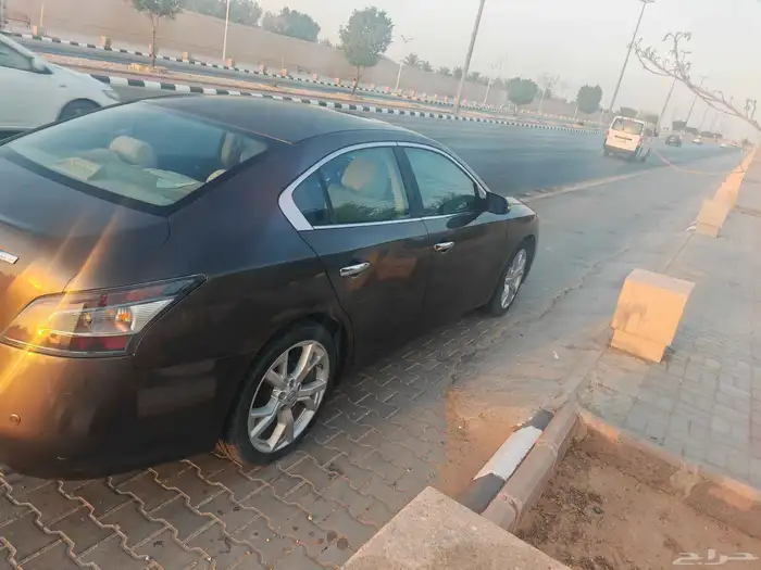 مكسيما موديل 2014 2