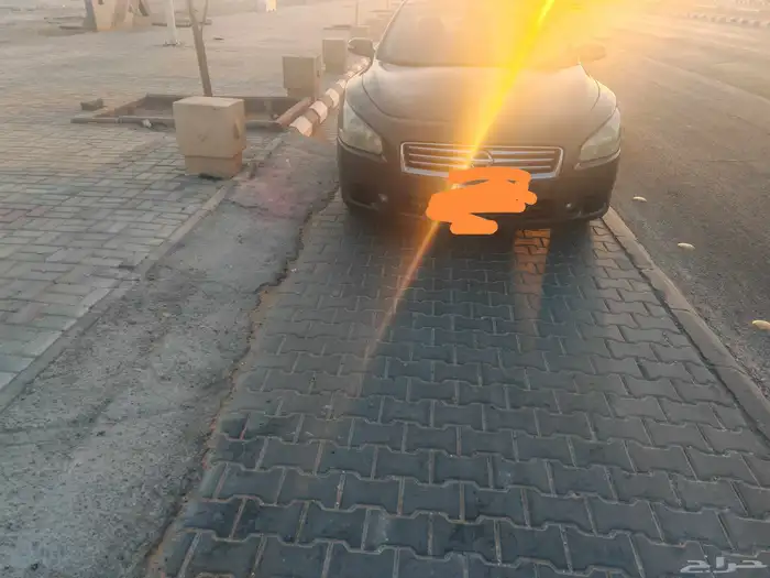 مكسيما موديل 2014 1