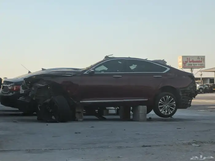 جنسس 2016 0