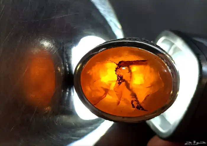 خاتم عقيق يماني شجري مصور 5