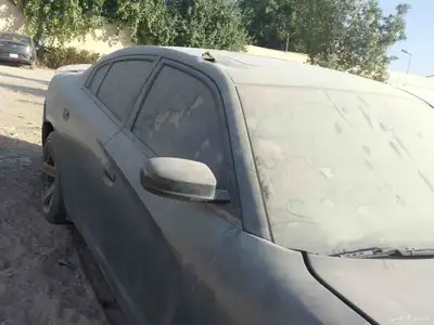 البيع دوج index