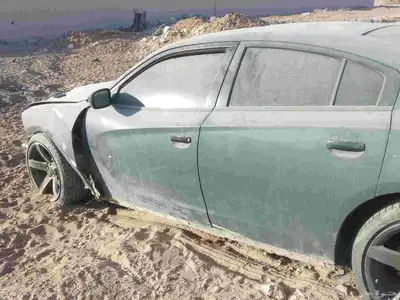 البيع دوج index