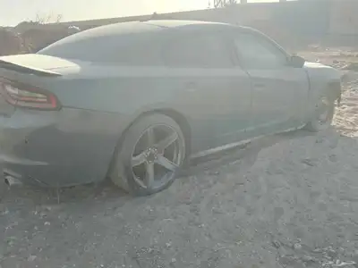 البيع دوج index