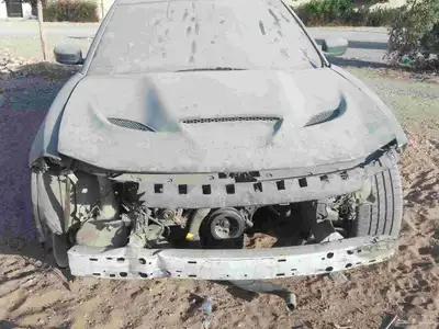 البيع دوج index