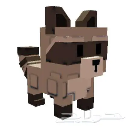 راكون رينبو عمره 100 ماب المزرعه 0