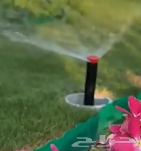 منسق حدائق القصيم 9