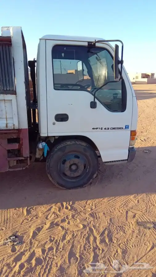 دينا زايسوا 0