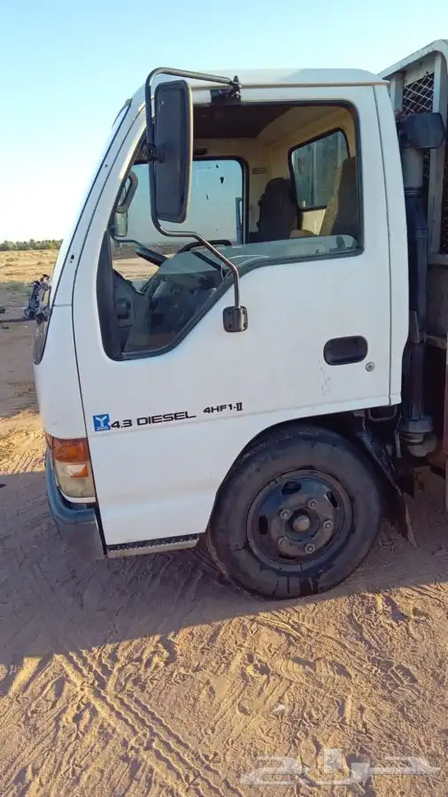 دينا زايسوا 1