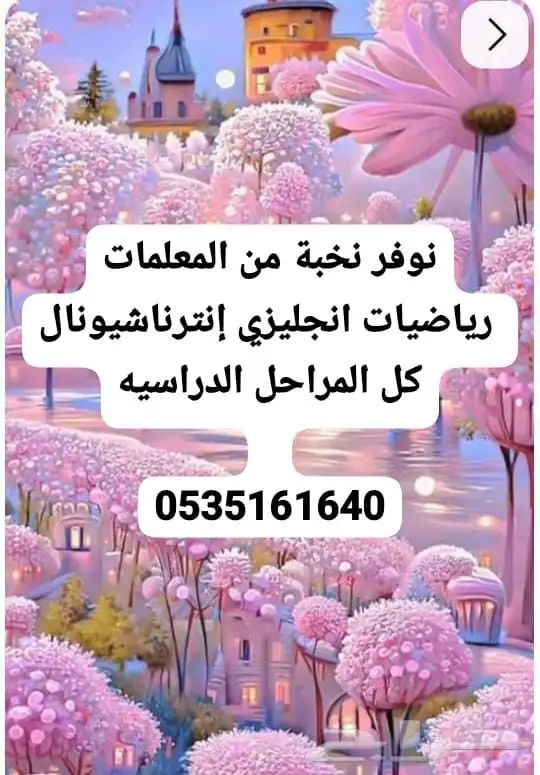 نخبه من المعلمات إنترناشيونال تحفيظ كل المراحل 0