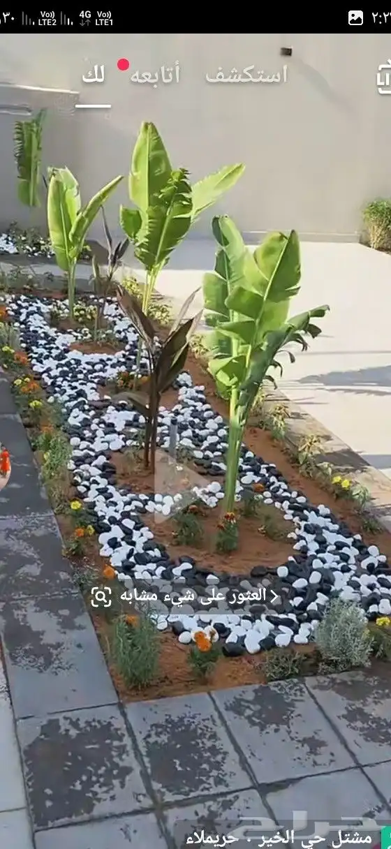 تنسيق حدائق 0