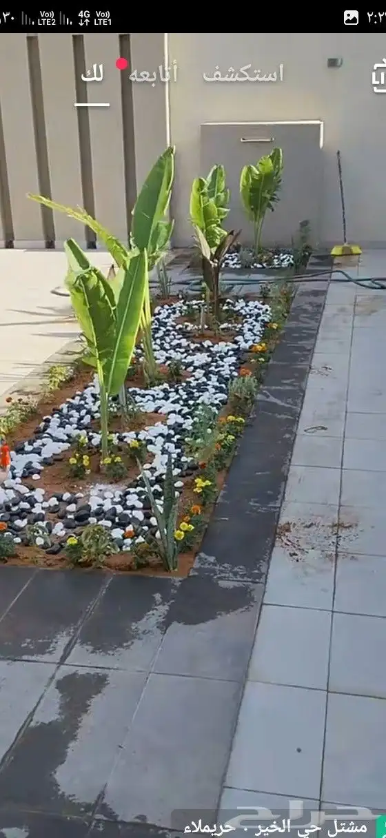 تنسيق حدائق 1