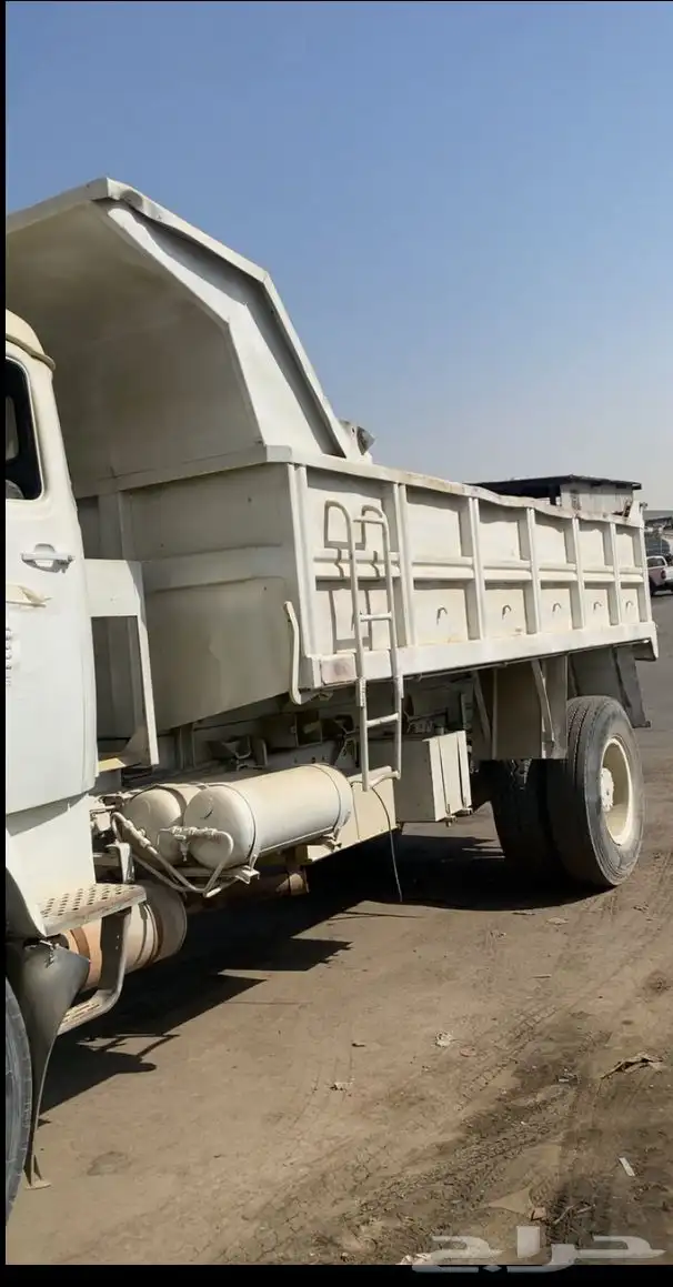 عايدي مديل 81 2