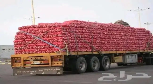 متاح مبسط بصل وبطاطس للايجار 2