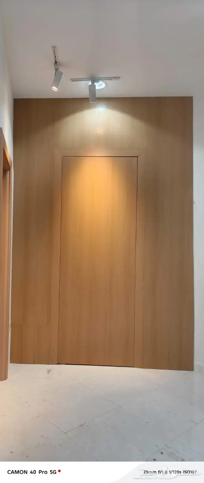 ابواب وديكورات 4