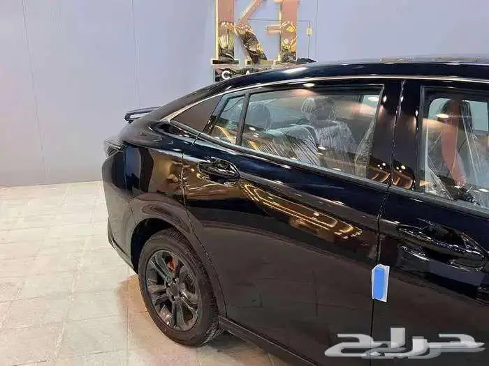 دونق فونق شاين ستاندر2025 4